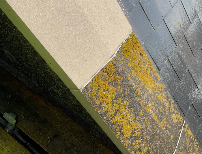 Before and after picture of jet washing moss from a wall